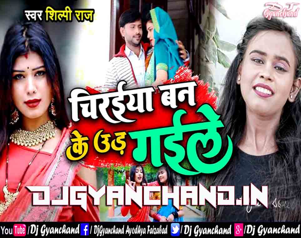 Chiraiya Ban Ke Oo Ud Gaile ( Shilpi Raj 2022 Dj Song ) Dholki Dj Remix - Dj Gyanchand